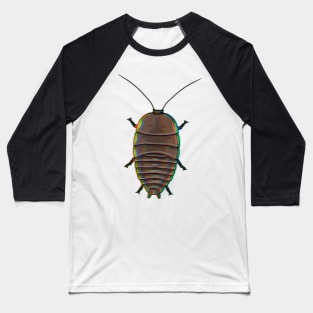 Chromatic Botany Bay Cockroach (Polyzosteria limbata) Baseball T-Shirt